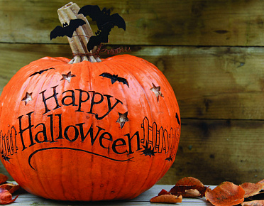 �������� 31 �������! ��������� ������������ � ��������� �����, ������ � ���������